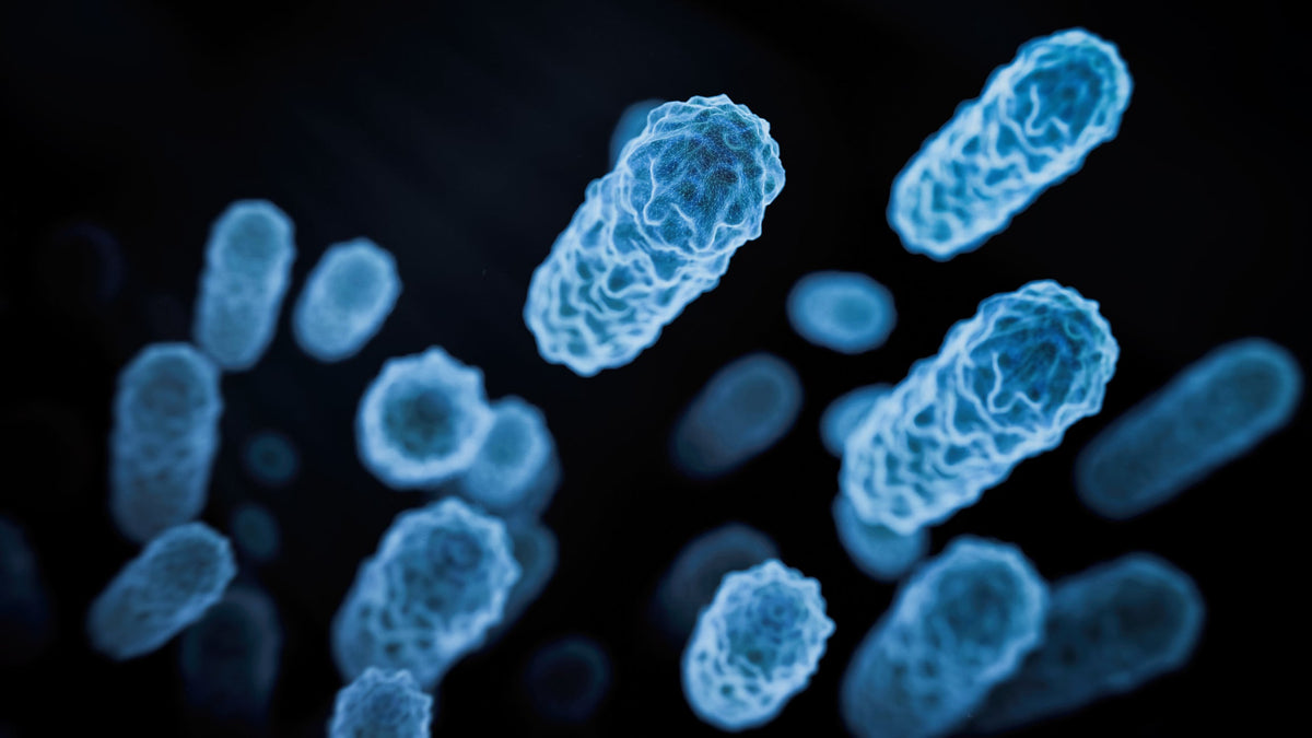 Inside The Future Of Probiotics